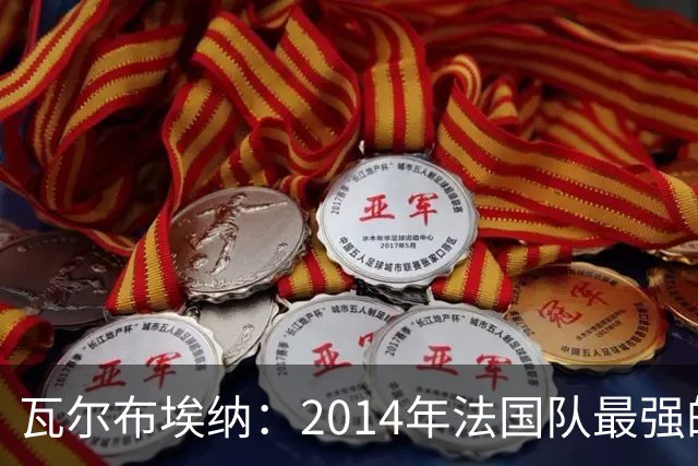 瓦尔布埃纳：2014年法国队最强的是博格巴，最被低估的是马图伊迪